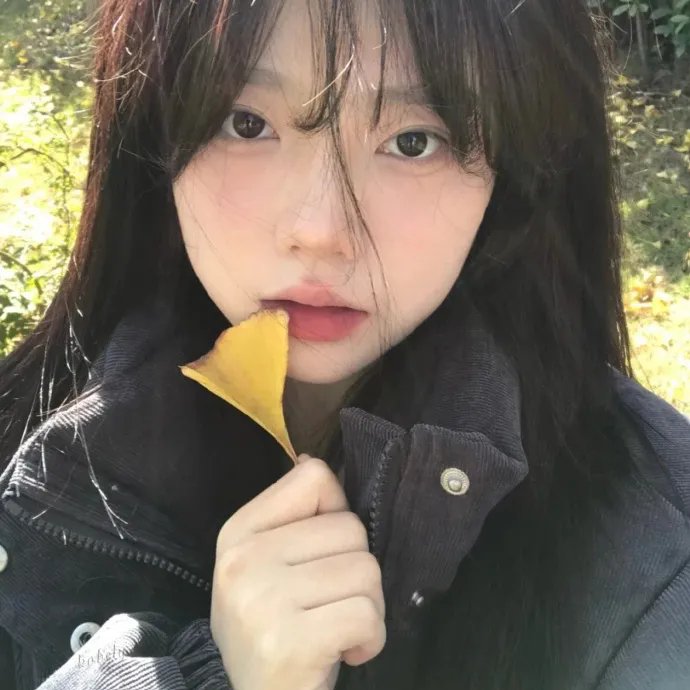 精灵高中之纽约